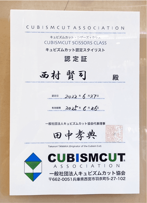 cubismcut-1