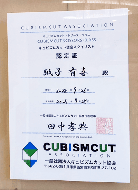 cubismcut-2