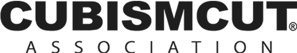 cubismcut-3